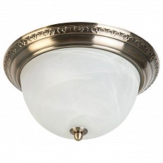 Накладной светильник TopLight Daniela TL5010Y-02AB