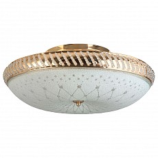 Светильник на штанге TopLight Loreen TL1492Y-05GC