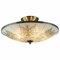 Светильник на штанге TopLight Stella TL7300X-05AB