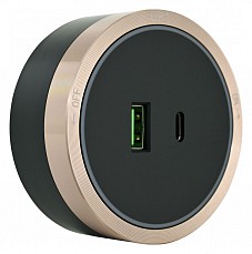 Розетка USB и type C на треке Arte Milano Am-track-sockets 380066TS LED/USB-Type-C Gold