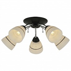 Потолочная люстра TopLight Winnifred TL1255D-05BC