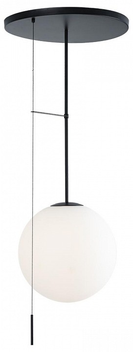 Светильник на штанге Loft it Signal 10029PM Black