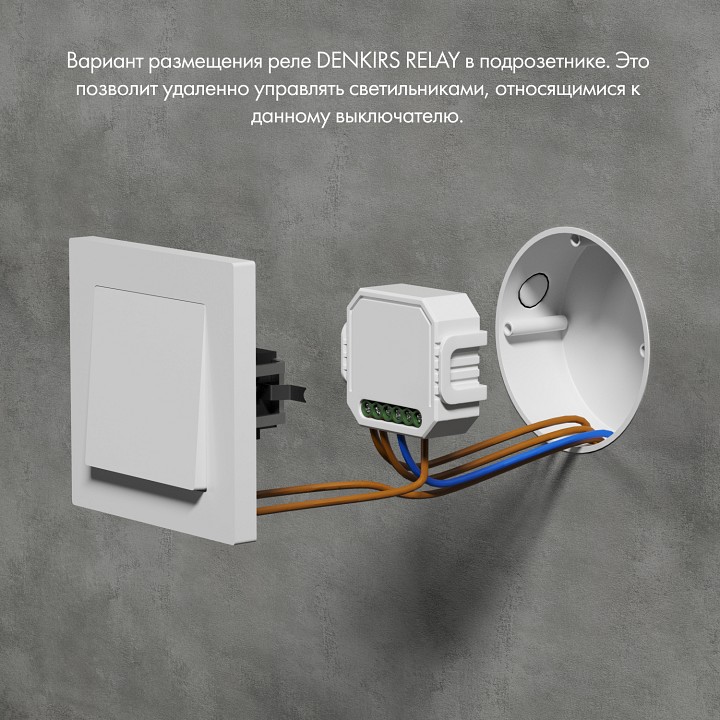 Конвертер Wi-Fi для смартфонов и планшетов Denkirs RELAY RL1001-SM